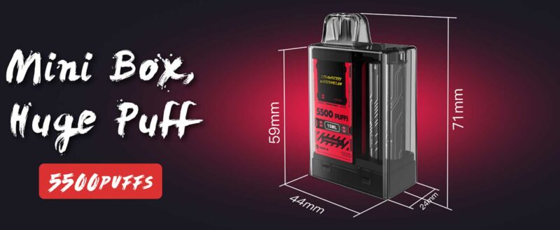 Vapengin 5500 puffs Pod Descartável