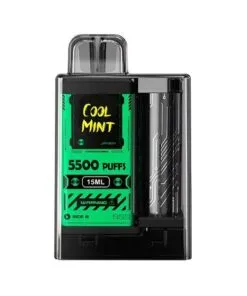 Vapengin 5500 puffs Pod Descartável - Cool Mint